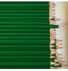 Crayon de bois vert Deskstore