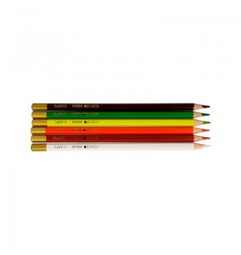 Décor avec crayons couleur Animaux de la Forêt à colorier toit maison bois artemio