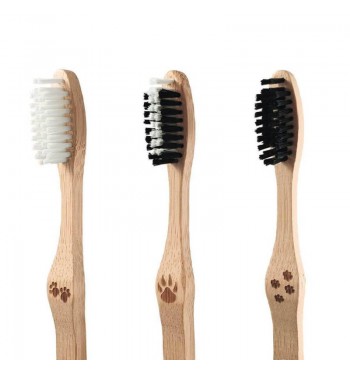 Brosse à dents poils durs nylon sans BPA bois bambou FSC types