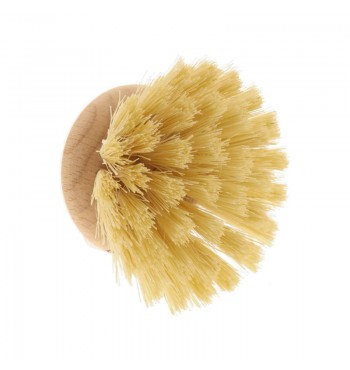 Tête brosse vaisselle large en bois de hêtre SANS MANCHE fibres tampico agave