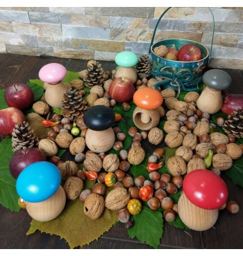 various colors beech mushroom nutcracker