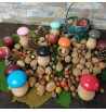 various colors beech mushroom nutcracker
