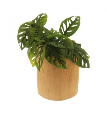 Cache-pot recyclé pour plante en bois 21,5cm