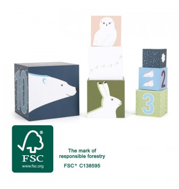 Cubes à empiler Arctique 10pcs en carton FSC certifié label