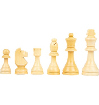 pions jeu d'échecs cavalier fou reine roi blanc