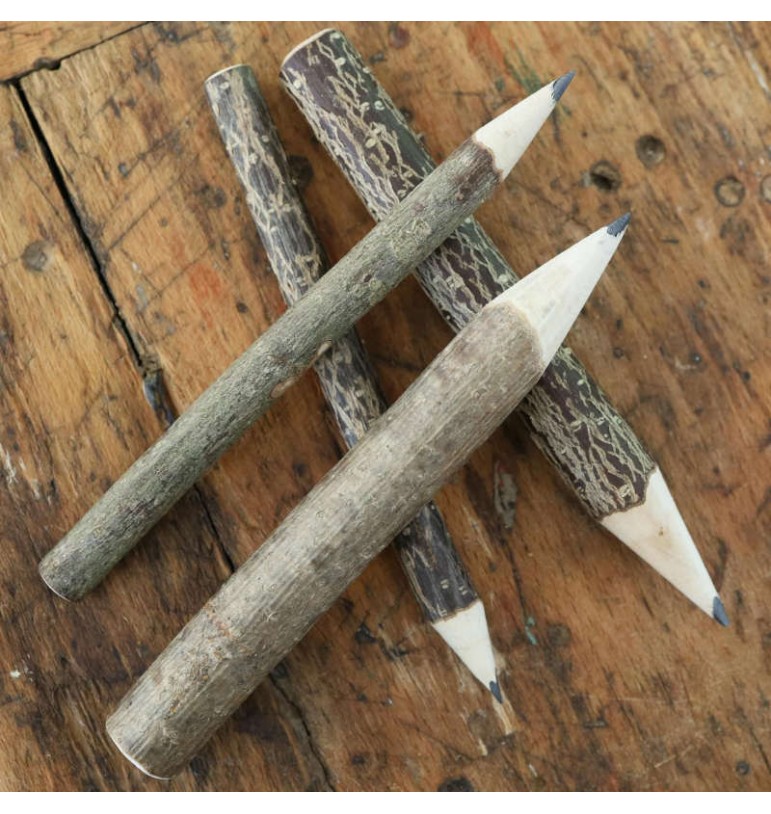 Crayons GRIS à mine naturel bois écorce diamètre irrégulier