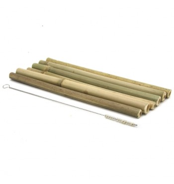 Pailles 6 pcs réutilisables en bambou nature poncé + goupillon sisal
