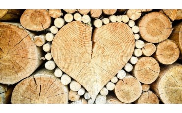 Ecologie & Avantages du bois