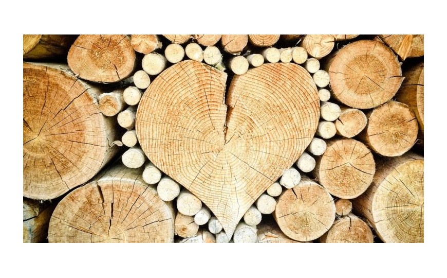 Ecologie & Avantages du bois